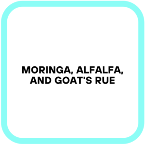 Moringa, Alfalfa, and Goat's Rue