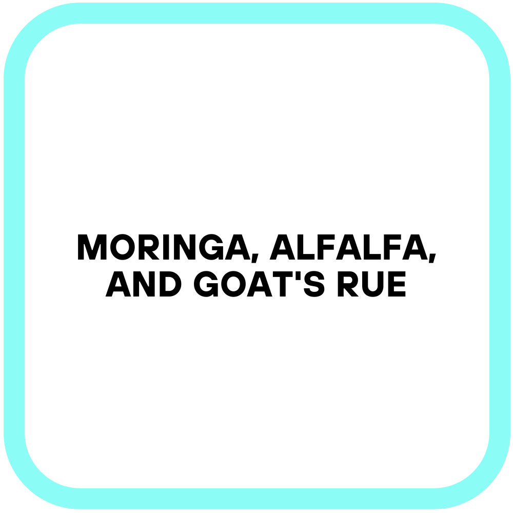 Moringa, Alfalfa, and Goat's Rue