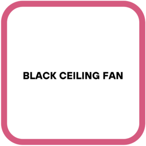 Black Ceiling Fan