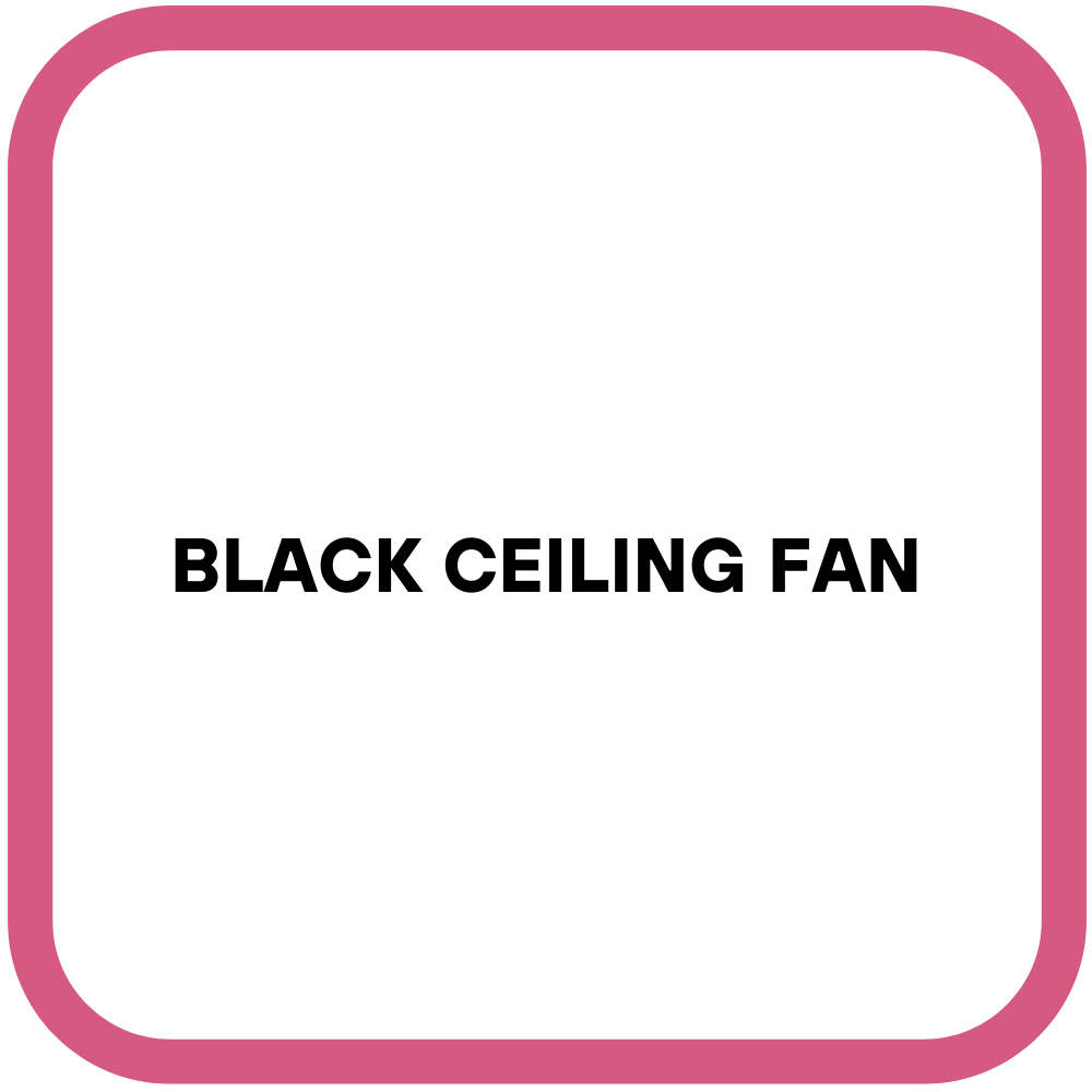 Black Ceiling Fan