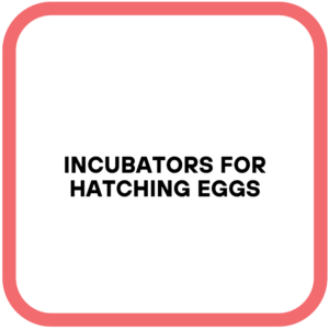 Incubators for Hatching Eggs