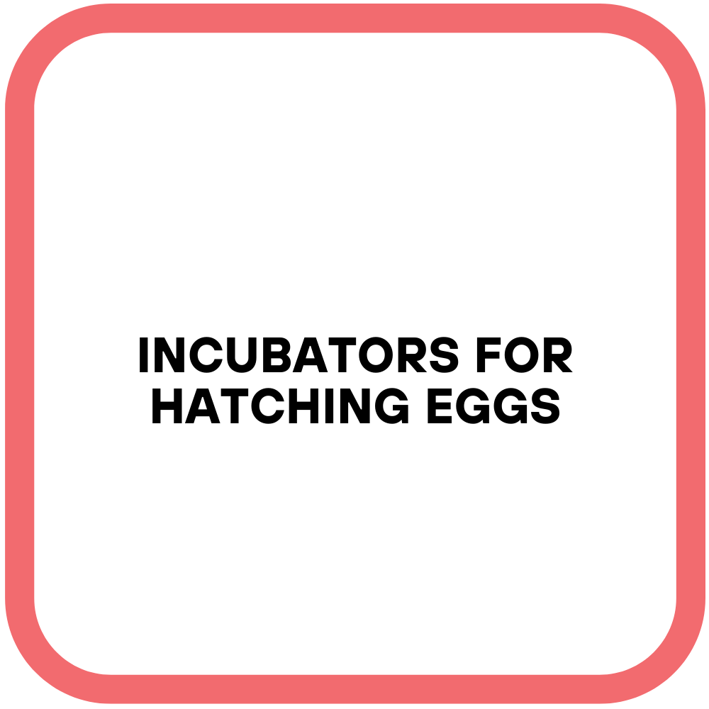 Incubators for Hatching Eggs