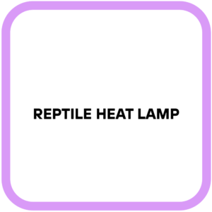 Reptile Heat Lamp