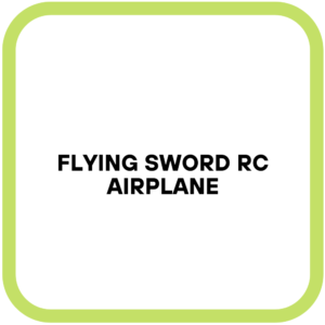 Flying Sword RC Airplane