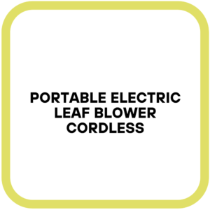 Portable Electric Leaf Blower Cordless