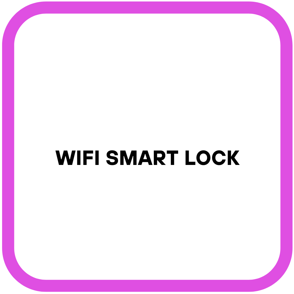 WiFi Smart Lock