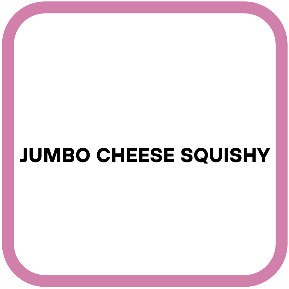 Jumbo Cheese Squishy