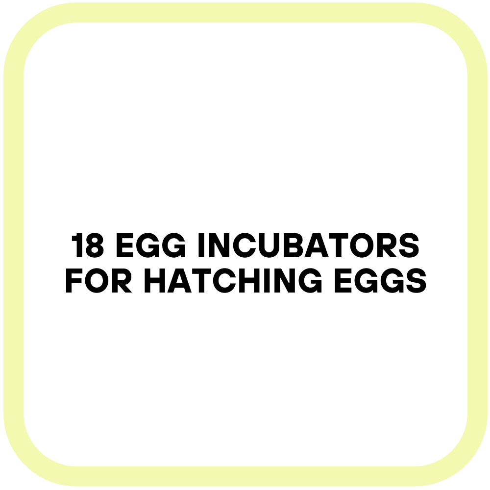 18 Egg Incubators for Hatching Eggs