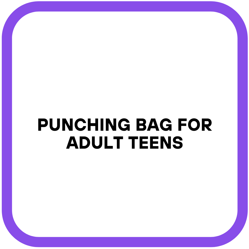 Punching Bag for Adult Teens