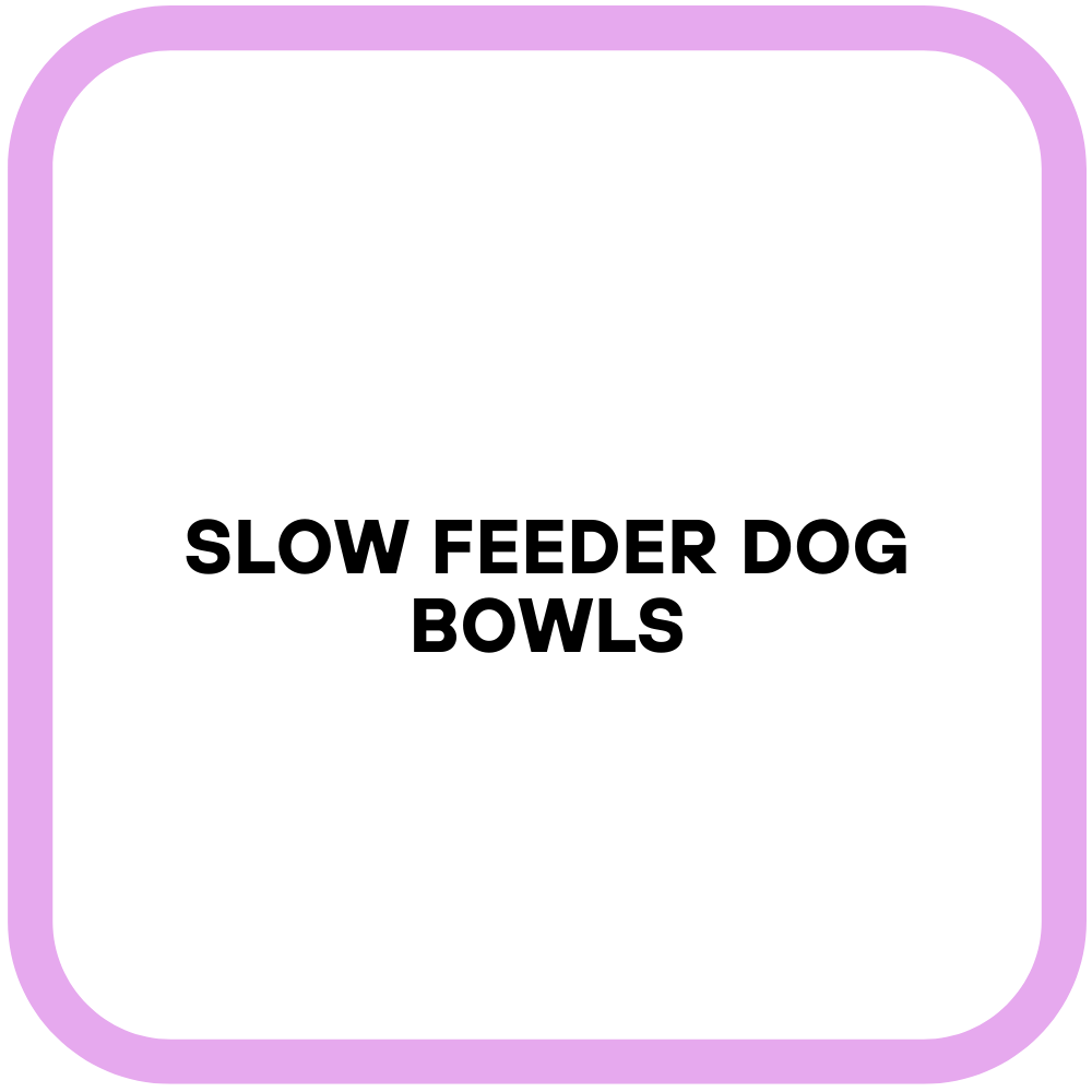Slow Feeder Dog Bowls