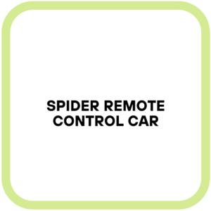 Spider Remote Control Car