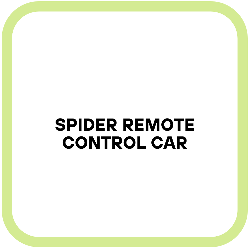 Spider Remote Control Car