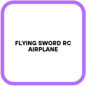 Flying Sword RC Airplane