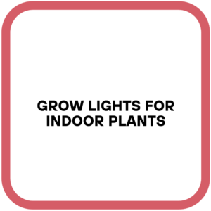 Grow Lights for Indoor Plants