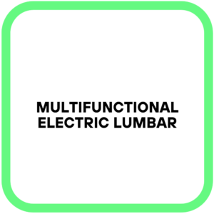 Multifunctional Electric Lumbar