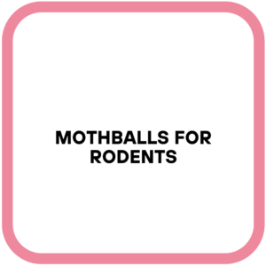 Mothballs For Rodents