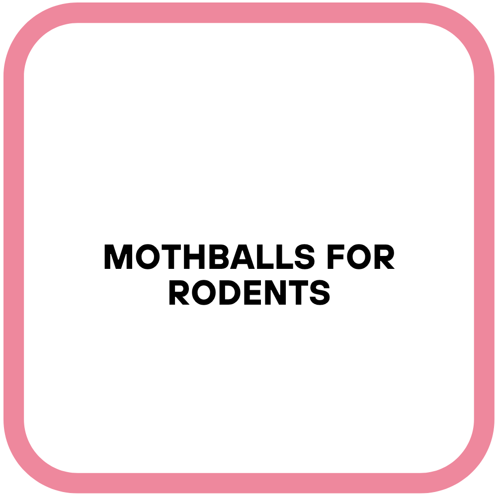 Mothballs For Rodents