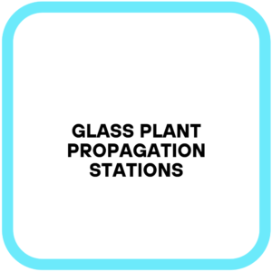Glass Plant Propagation Stations