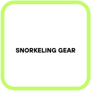 Snorkeling Gear