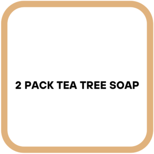 2 Pack Tea Tree Soap