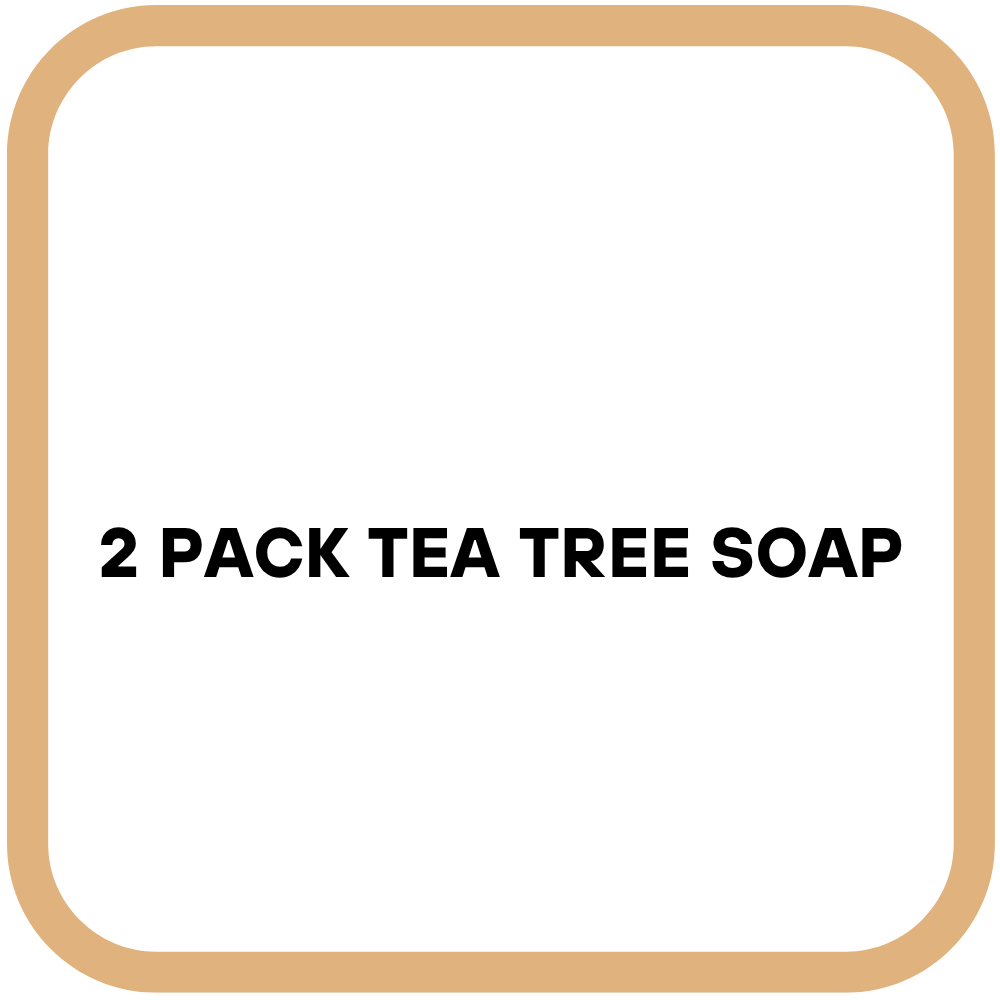 2 Pack Tea Tree Soap