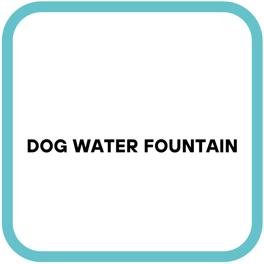 Dog water fountain