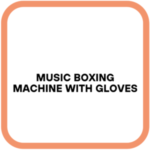 Music Boxing Machine with Gloves