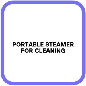 Portable Steamer for Cleaning