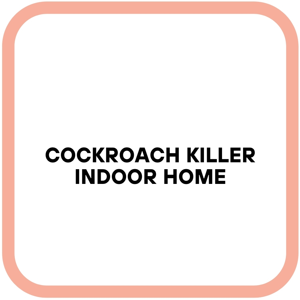 Cockroach Killer Indoor Home