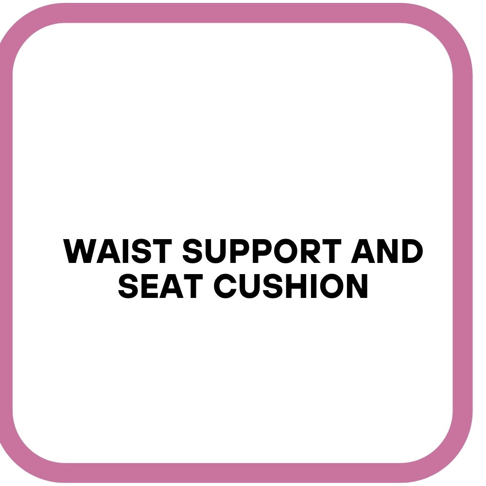 Waist Support and Seat Cushion