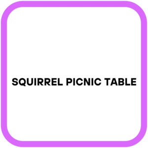 Squirrel Picnic Table