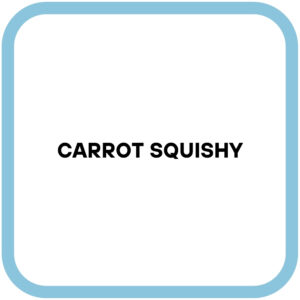 Carrot Squishy