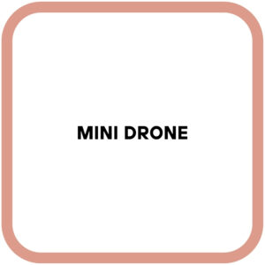 Mini Drone
