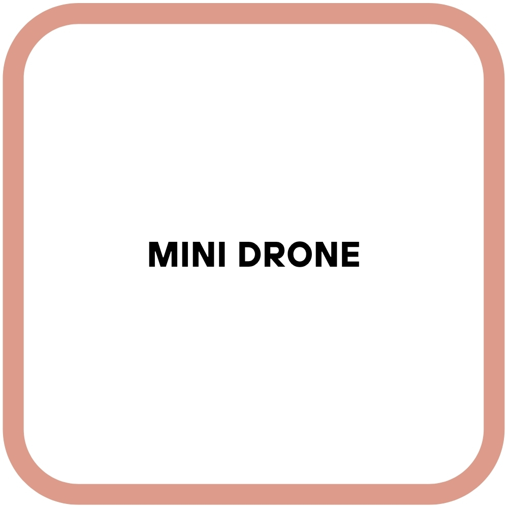 Mini Drone