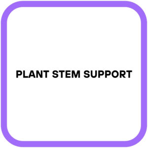 Plant Stem Support