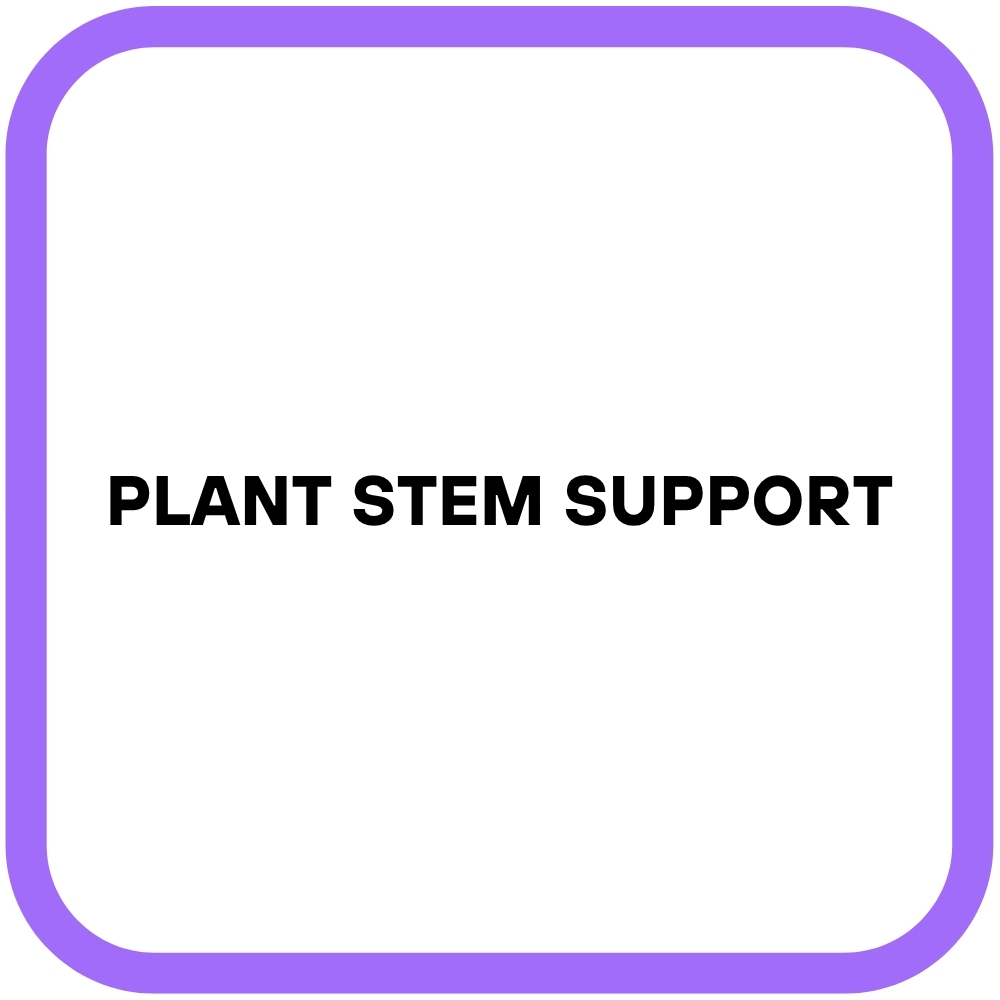 Plant Stem Support