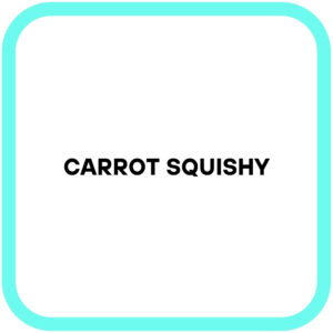 Carrot Squishy