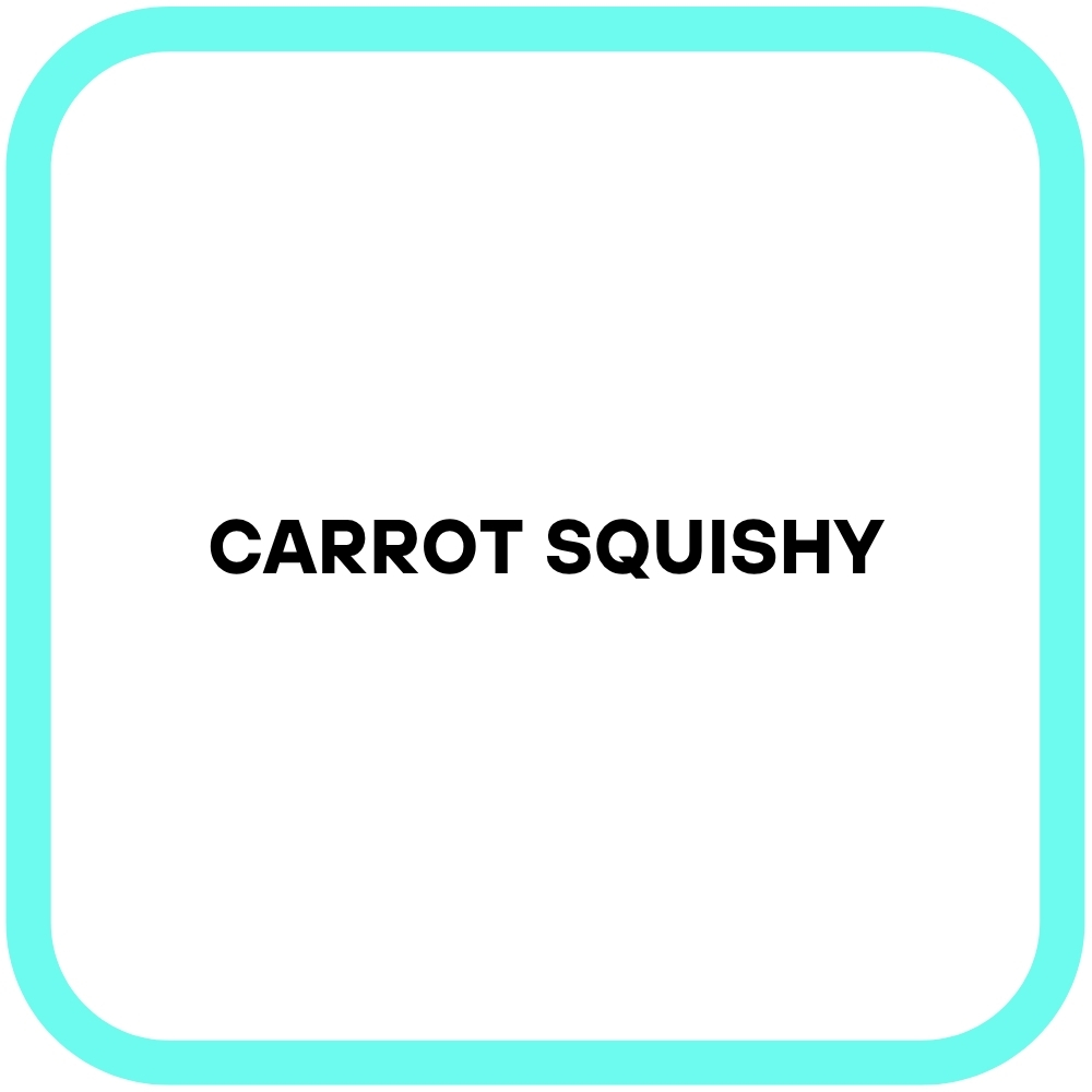 Carrot Squishy