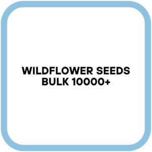 Wildflower Seeds Bulk 10000+