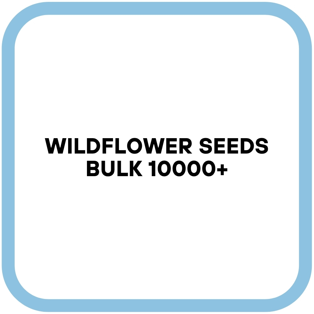 Wildflower Seeds Bulk 10000+
