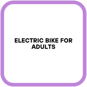 Electric Bike for Adults