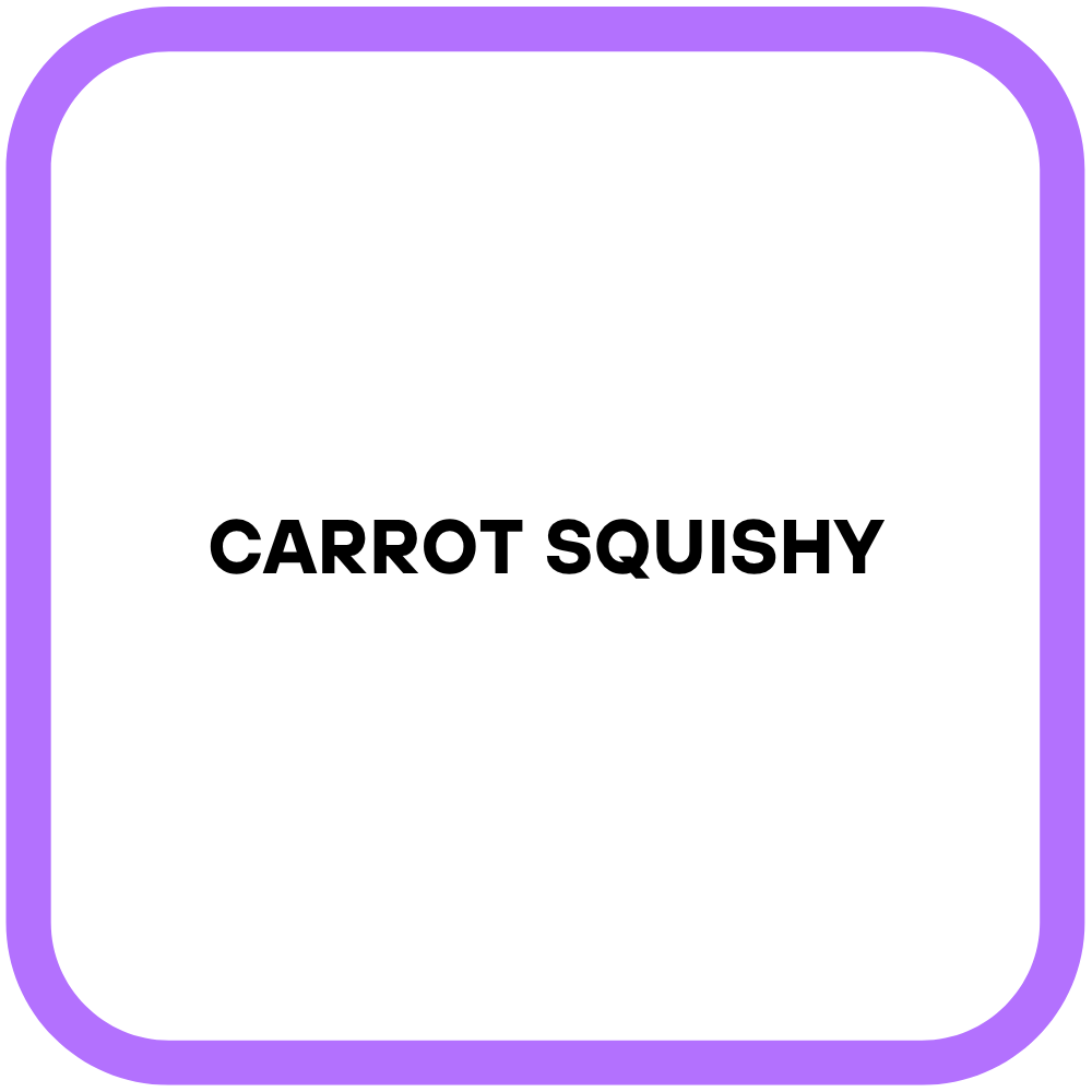 Carrot Squishy