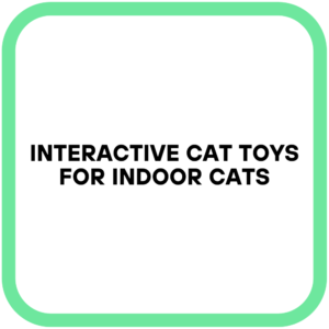 Interactive Cat Toys for Indoor Cats