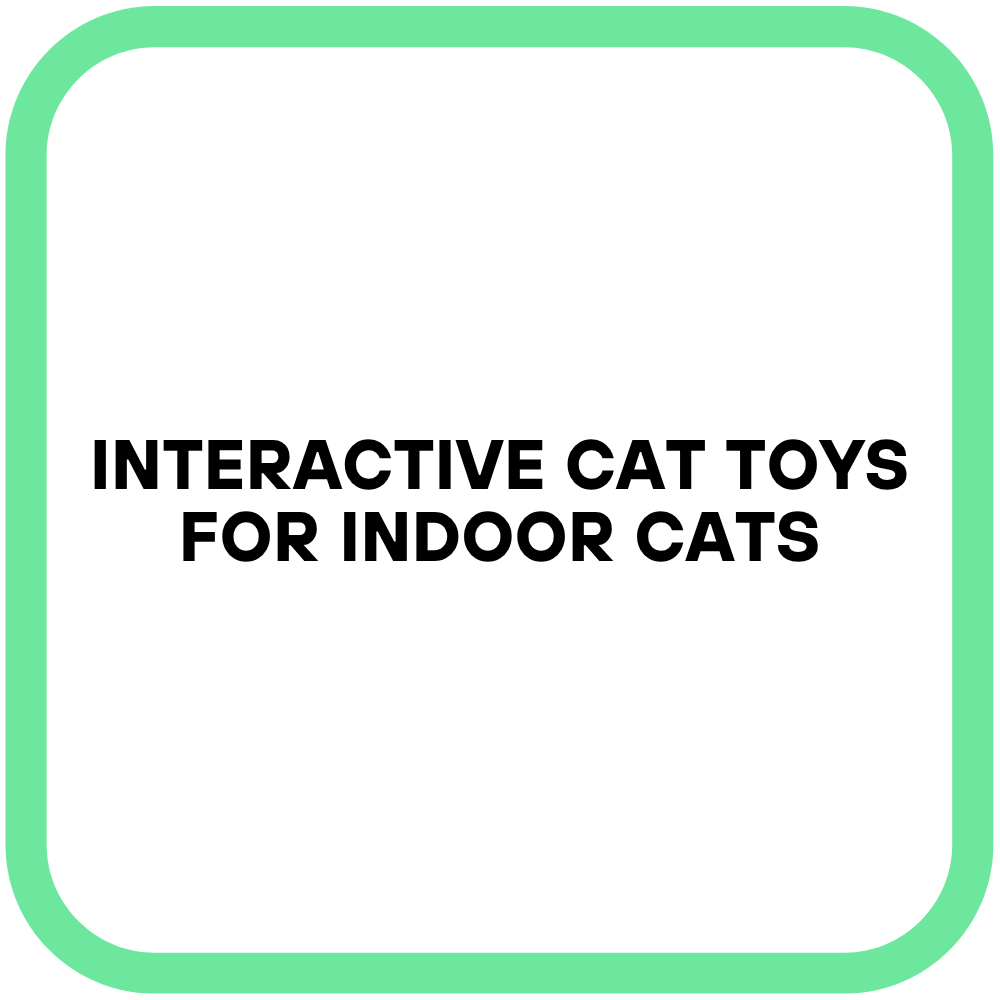 Interactive Cat Toys for Indoor Cats