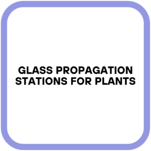 Glass Propagation Stations for Plants