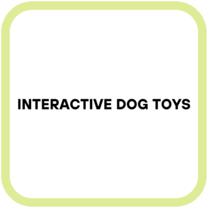 Interactive Dog Toys