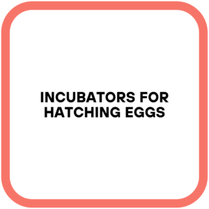 Incubators for Hatching Eggs