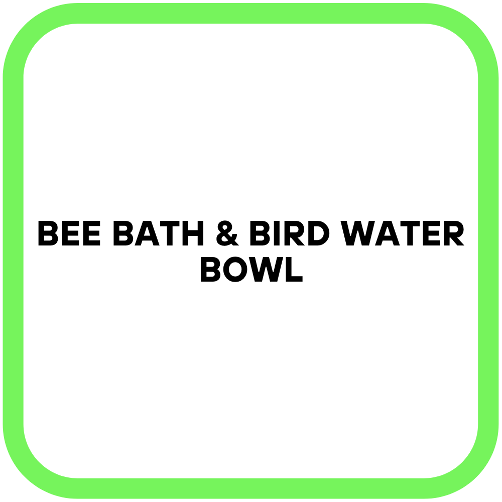 Bee Bath & Bird Water Bowl