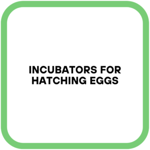 Incubators for Hatching Eggs