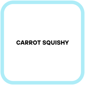 Carrot Squishy